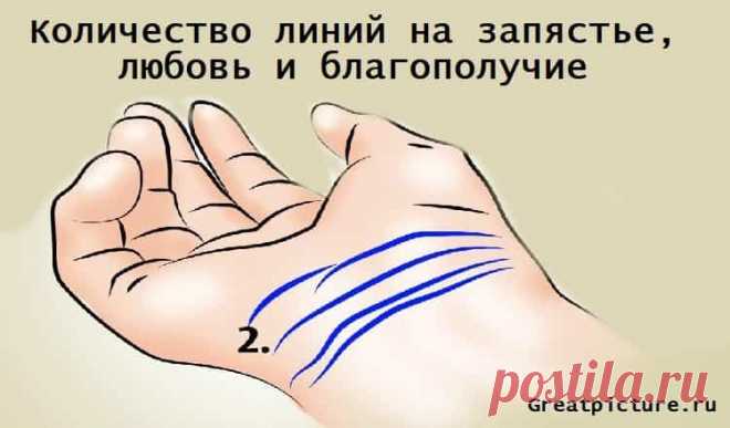 Количество линий на запястье, любовь и благополучие #life #interesting  #интересно  #самоеинтересное