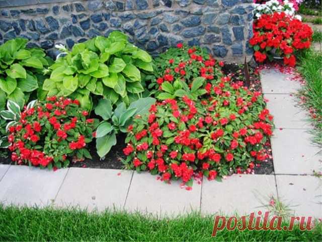 Дачные Дела: Обустройство дачного участка (). Часть 3.