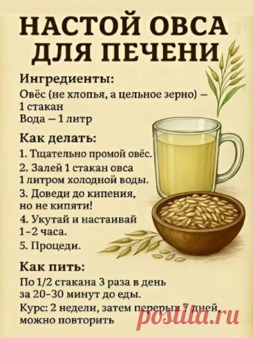 Настой овса для печени