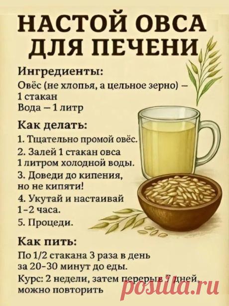 Настой овса для печени
