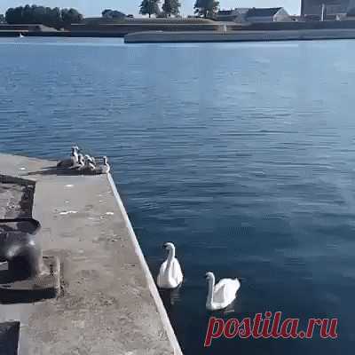 (69) Одноклассники