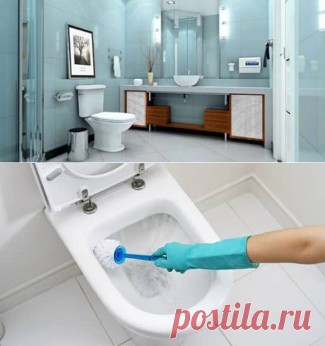 Как почистить унитаз: 9 эффективных способов, видео

Господа, как почистить унитаз? Это закрытая тема для принцев и принцесс. А мы займемся этим неприятным, но важным делом. Итак, приступим.Для ухода за «важнейшим объектом» нужны ершик для туалета, резиновые перчатки и пемза (желательно на длинной ручке). Пемзу используют для сильных загрязнений. Ржавчина образуется от некачественной воды, и требует большего времени и усилий для уборки. Чтобы ускорить работу, используют пемзу.