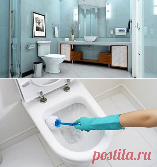 Как почистить унитаз: 9 эффективных способов, видео

Господа, как почистить унитаз? Это закрытая тема для принцев и принцесс. А мы займемся этим неприятным, но важным делом. Итак, приступим.Для ухода за «важнейшим объектом» нужны ершик для туалета, резиновые перчатки и пемза (желательно на длинной ручке). Пемзу используют для сильных загрязнений. Ржавчина образуется от некачественной воды, и требует большего времени и усилий для уборки. Чтобы ускорить работу, используют пемзу.