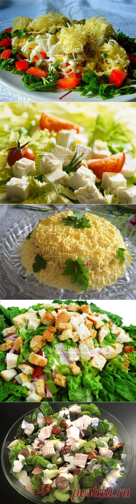 Салат с курицей и сыром. Рецепты с пошаговыми фото