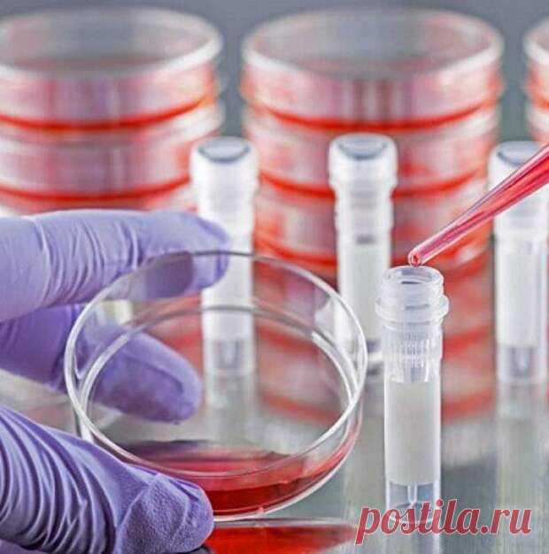 Как обнаружить состояние предболезни... - Познавательный сайт ,,1000 мелочей