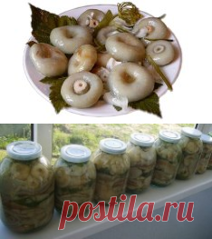 Одноклассники