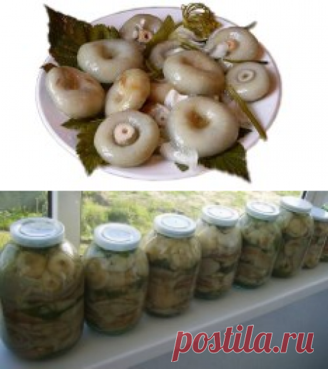 Одноклассники