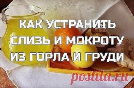 Как устранить слизь, мокроту из горла и груди