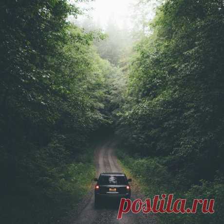 Порой какая-то мелочь может изменить твою жизнь. Не успеешь и глазом моргнуть, как что-то происходит, когда ты совсем этого не ждёшь. Все твои планы на будущее меняются, и неизвестно, куда тебя это приведет. Это путешествие длиною в жизнь, наши поиски света.

Но иногда,
чтобы обрести свет,
нужно пройти через кромешную тьму.
