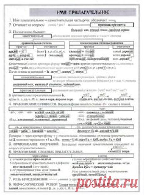 Поиск новостей по запросу #русский_язык