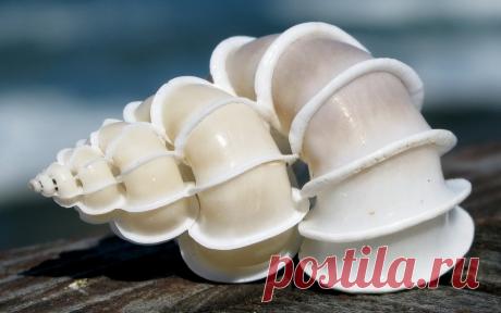 Разные Фотографии - 3780 фото. Фотографии Рубен Варданян.