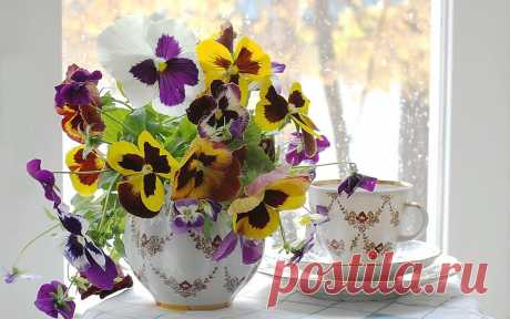 Результат поиска Google для https://www.xrest.ru/schemes/00/12/fd/e6/%D0%90%D0%BD%D1%8E%D1%82%D0%B8%D0%BD%D1%8B%20%D0%B3%D0%BB%D0%B0%D0%B7%D0%BA%D0%B8-1.jpg