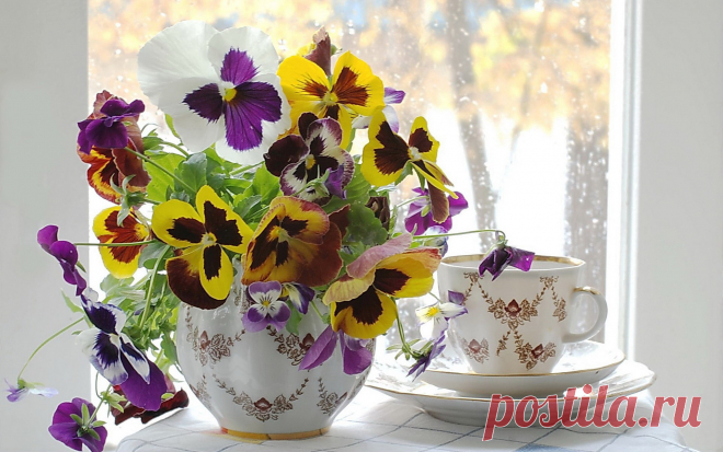 Результат поиска Google для http://www.xrest.ru/schemes/00/12/fd/e6/%D0%90%D0%BD%D1%8E%D1%82%D0%B8%D0%BD%D1%8B%20%D0%B3%D0%BB%D0%B0%D0%B7%D0%BA%D0%B8-1.jpg