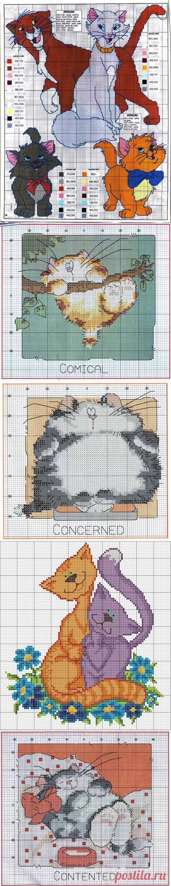 Схемы для вышивки «Коты и котята» | Все о рукоделии - мастер классы, инструкции, пошаговые фото