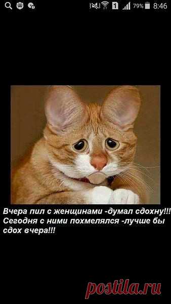 Выпуск №3114 - выпуск анекдотов сайта вокруг смеха