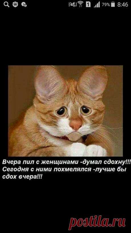 Выпуск №3114 - выпуск анекдотов сайта вокруг смеха