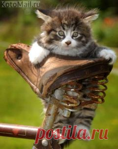 (2260) Входящие - olga-stepanova71@list.ru - Почта Mail.Ru