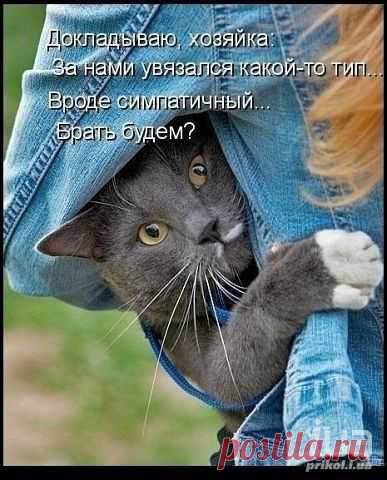 ♥♥Житейская мудрость ♥♥