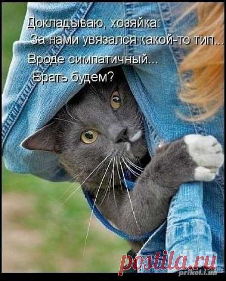♥♥Житейская мудрость ♥♥