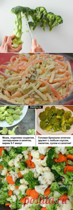 Брокколи — польза и вред для здоровья, как приготовить быстро и вкусно