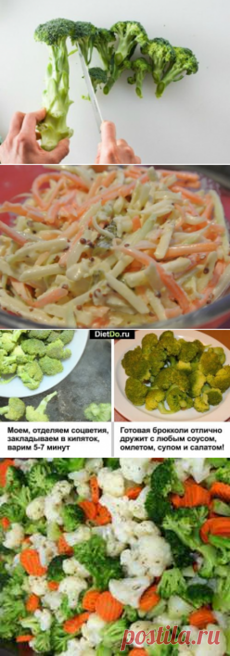 Брокколи — польза и вред для здоровья, как приготовить быстро и вкусно