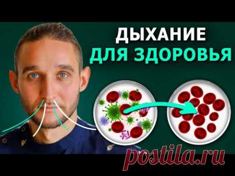 Как правильно ДЫШАТЬ для полного ОЗДОРОВЛЕНИЯ ОРГАНИЗМА - (2 Дыхательные Практики)
