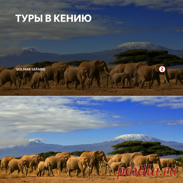ТУРЫ В КЕНИЮ | Volmar Safaris | Яндекс Дзен