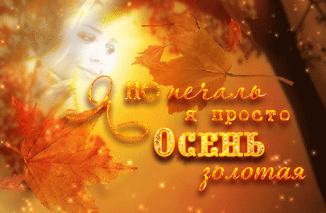 Красивой осени! - анимационные картинки с пожеланием. - АНИМАЦИОННЫЕ ОТКРЫТКИ С ПОЖЕЛАНИЯМИ И ПОЗДРАВЛЕНИЯМИ. - Группы Мой Мир