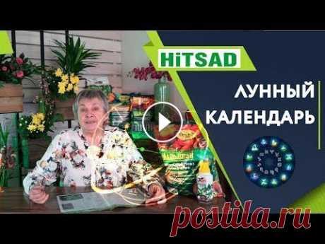 Не верьте в Лунный Календарь Посадок ✔️ Календарь садовода Луна оказывает большое влияние на Землю, и на все живое на планете. В 1924 году группа фермеров обратилась к австрийскому ученому Рудольфу Штайнеру, и...