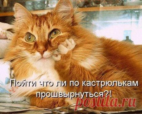 Рыжий.
