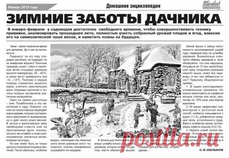 Зимние заботы дачника