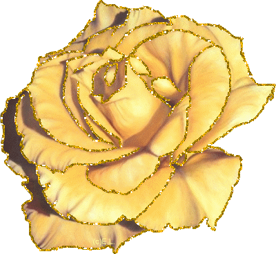 Фото – Google+