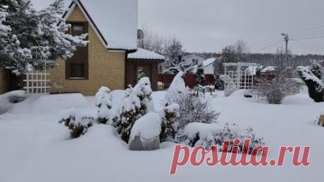 СУПЕР - ОТПУСК на ДАЧЕ | 20 февраля. ОЧЕНЬ МНОГО СНЕГА! Гуляем с Буяном, снимаем сад.
