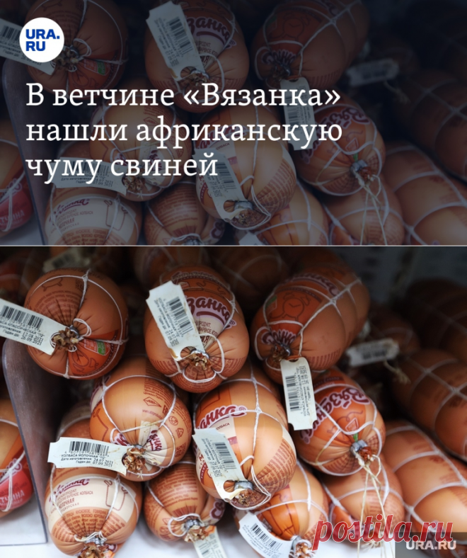 20-9-23-В ветчине «Вязанка» нашли АФРИКАНСКУЮ ЧУМУ свиней