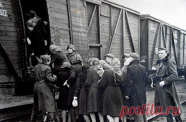 «Лучше, чем в колхозе»: что рабочие остарбайтеры вспоминали об условиях труда в Германии Остарбайтерами (в переводе – «работник с востока) называли в Германии граждан СССР, вывезенных с оккупированных территорий в качестве рабочей силы. Как правило, бесплатной или крайне низкооплачиваемой рабочей силы.