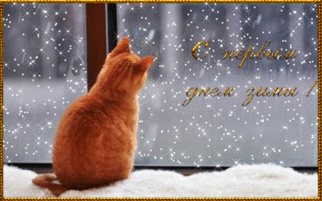 938008487.gif (500×312)