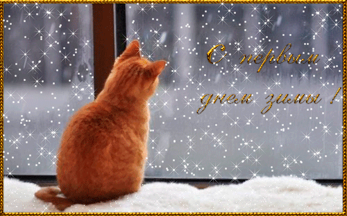 938008487.gif (500×312)