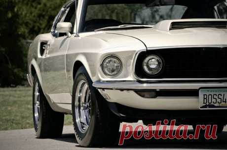 mustang