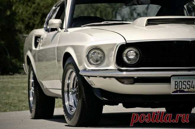 mustang