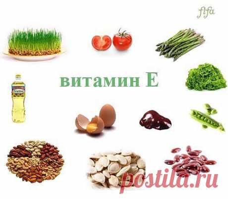 Где много витамина Е.