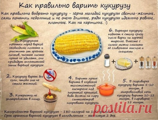 Полезные и нужные советы | Всегда в форме!