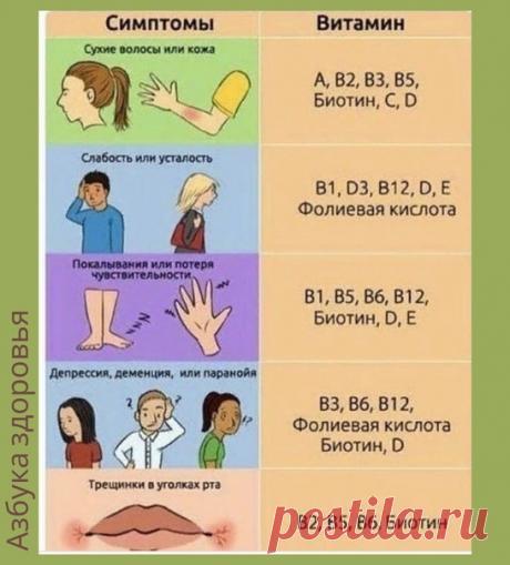 Tвoe тeлo тeбe пoдcкaзывaeт, кaкиx витaминoв нe xвaтaeт opгaнизму
Простая таблица: