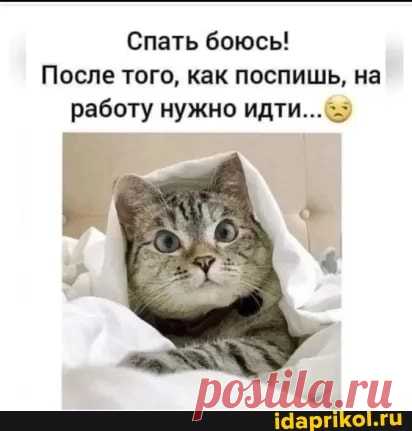 Спать боюсь! После того, как поспишь, на работу нужно идти... - ) / АйДаПрикол .)