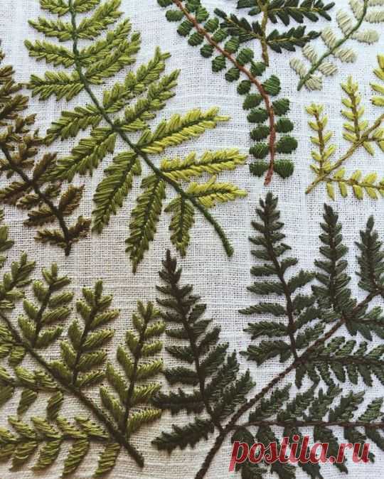 *** fern :: The Forgotten Garden :: @дневники: асоциальная сеть