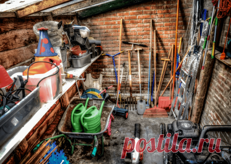 Календарь сезонных работ в саду: декабрь - Planetalsad