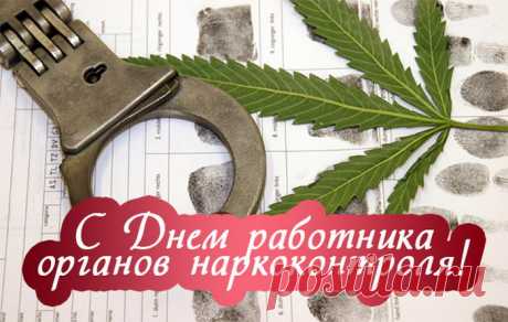 С наркотиками борются,
Рискуют часто жизнью,
Прекрасные работники —
Спасители Отчизны.