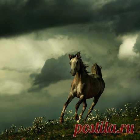бвч