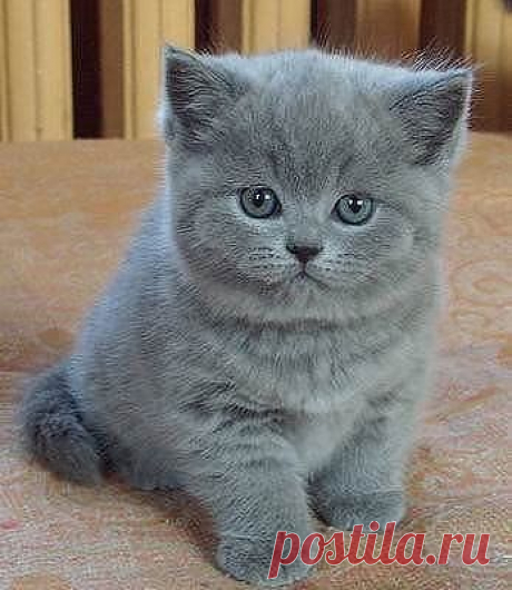 Мои закладки