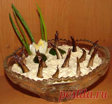 Рыбки в пруду - салат с российскими шпротоми Чтобы вкусно накормить, порадовать и даже приятно удивить своих гостей, много не надо. Вам понадобится баночка шпрот, мой рецепт и хорошее настроение, все остальные ингредиенты, наверняка, и так уже е…