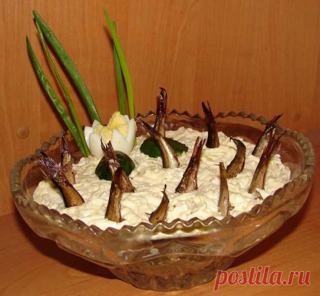 Рыбки в пруду - салат с российскими шпротоми Чтобы вкусно накормить, порадовать и даже приятно удивить своих гостей, много не надо. Вам понадобится баночка шпрот, мой рецепт и хорошее настроение, все остальные ингредиенты, наверняка, и так уже е…